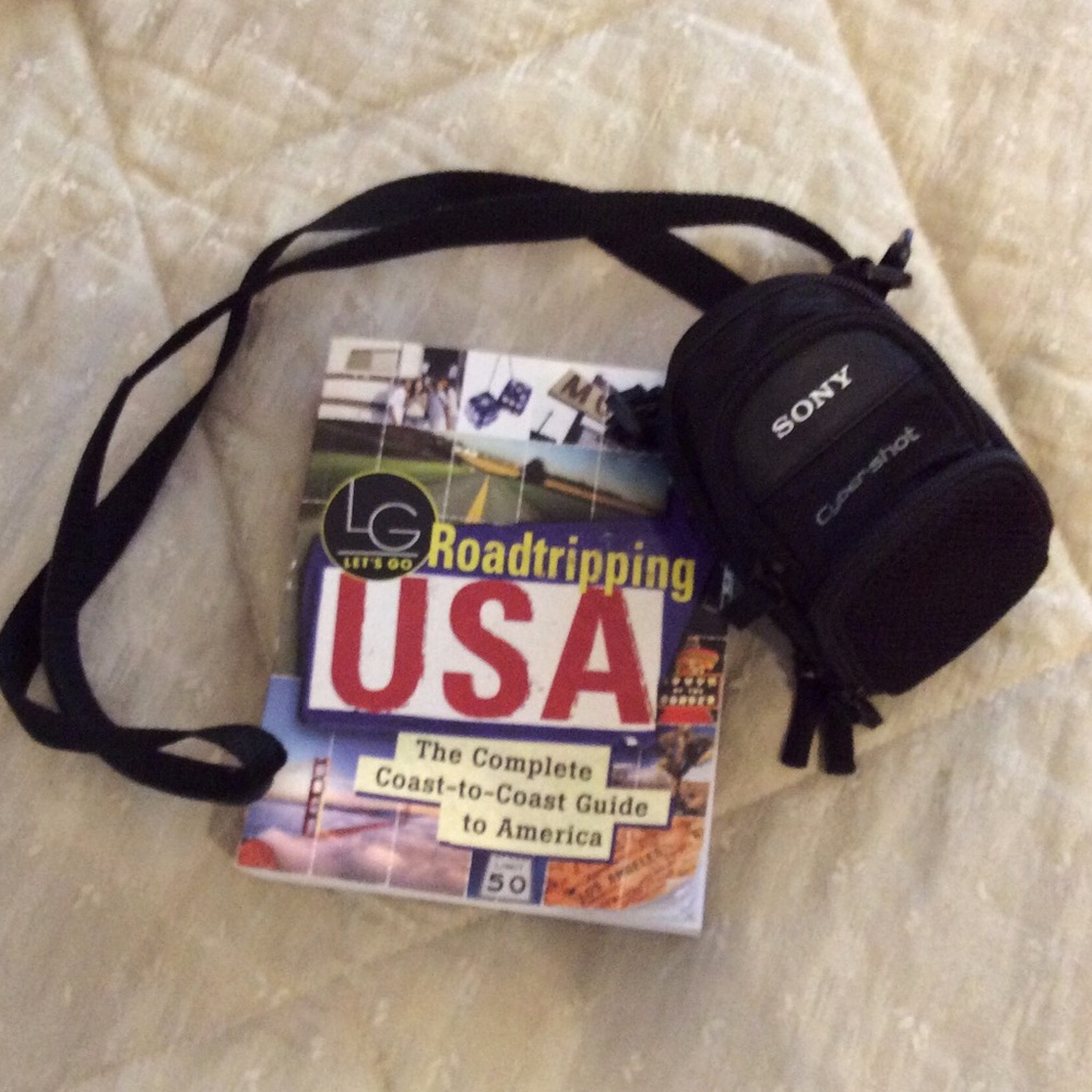 Small Sony camera bag
